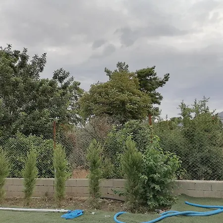 Nar Bahcesi Cakirlar