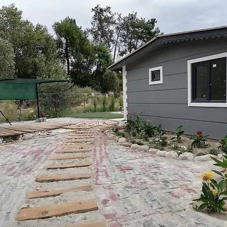 Nar Bahcesi 3*